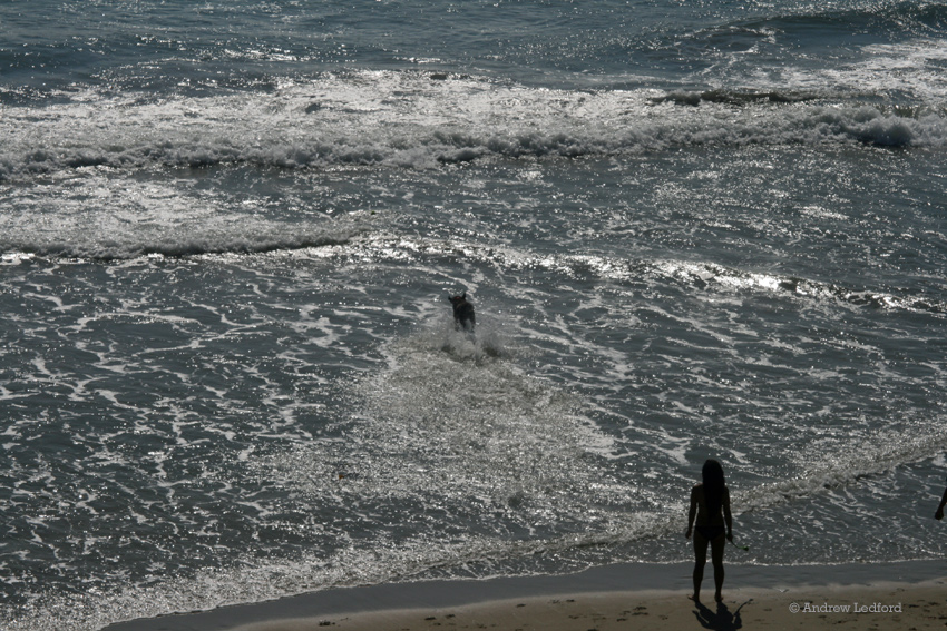 Huntington Dog Beach