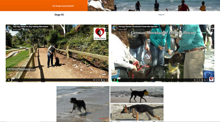 Dogs OC Homepage Website Build Video &  Transcript Using ChatGPT.