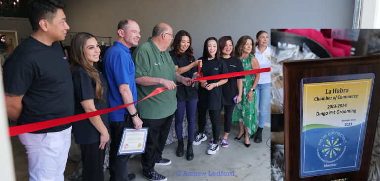 Dingo Pet Grooming Grand Opening and Ribbon Cutting in La Habra CA